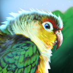 Freeflier Avatar