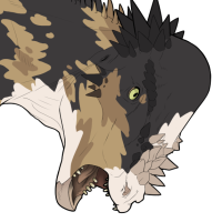 Thumbnail for 6044: Moth