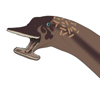 Thumbnail for 6168: Sooklah