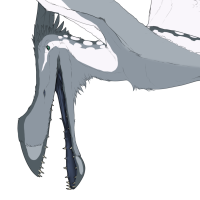 Thumbnail for 6172: Jay
