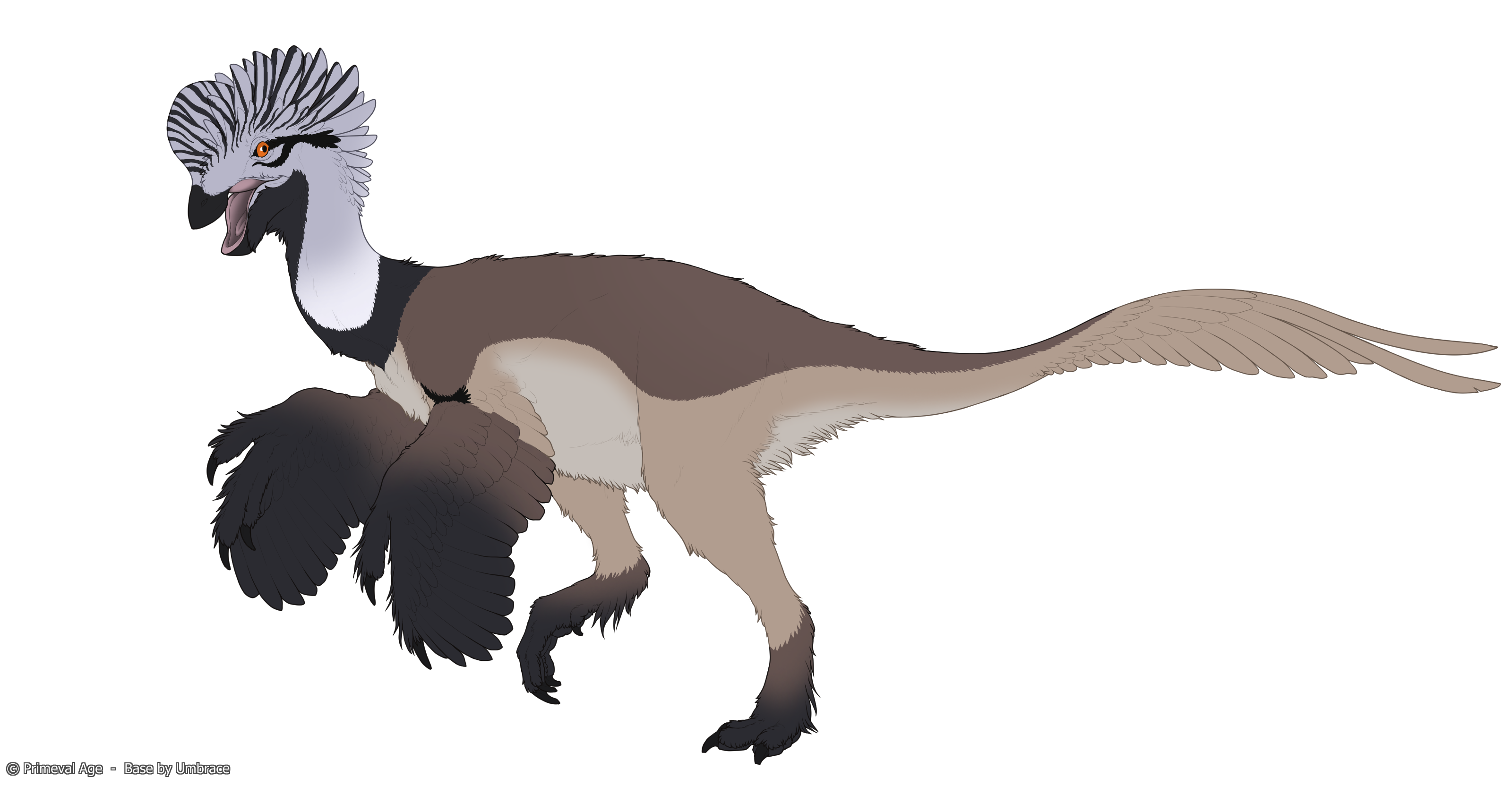 12874_e3Sb9VUdSw.png