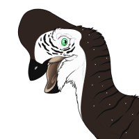 Thumbnail for 6306: Tulip