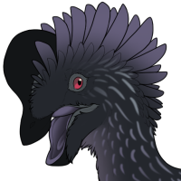 Thumbnail for 6323: Rock Dove