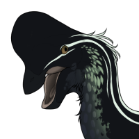 Thumbnail for 6324: Auk