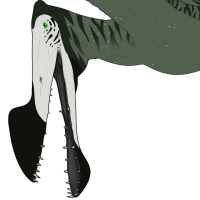 Thumbnail for 6329: Avocado