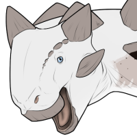 Thumbnail for 6433: Shoal