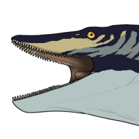 Thumbnail for 6438: Mackerel