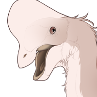 Thumbnail for 6500: Latte