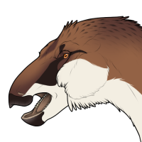 Thumbnail for 6527: Sela