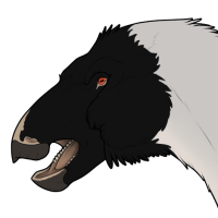 Thumbnail for 6528: Agnus