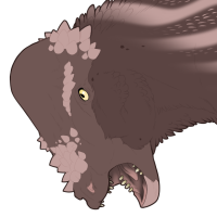 6565: For Aleu pachy