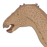 Thumbnail for 6575: Jonquil