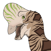 Thumbnail for 6618: Colubrid