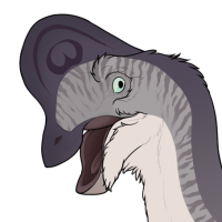 Thumbnail for 6637: DODO / Un / Br