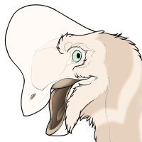 Thumbnail for 6652: Aphaea