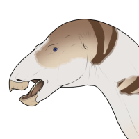 Thumbnail for 6700: Doe