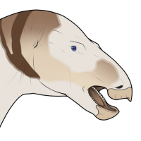 Thumbnail for 6700: Doe