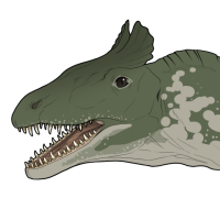 Thumbnail for 6715: Bald Alligator : C / Dn / St / Un : M