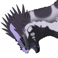 Thumbnail for 6751: Dark Pachy