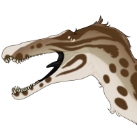 Thumbnail for 6752: Bengal