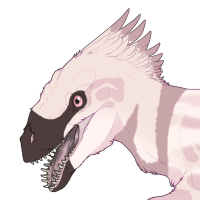 Thumbnail image for 6692: Cassidy