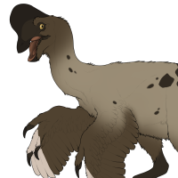 Thumbnail for 6791: Rommi