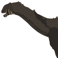Thumbnail for 6825: Cartographer