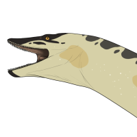 Thumbnail for 6866: Banana Peel