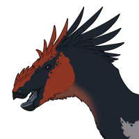 Thumbnail for 6867: Barbet