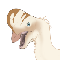 Thumbnail for 6878: Corcra