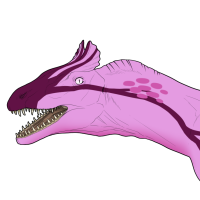 Thumbnail for 6879: Chiruka