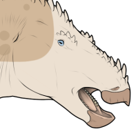 Thumbnail for 6905: Hauker
