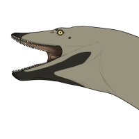 Thumbnail for 6950: Dune