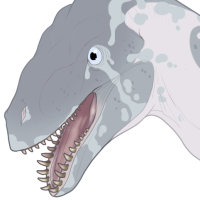 Thumbnail for 6951: Blubber