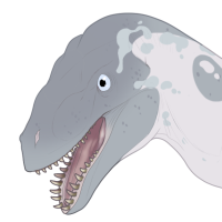 Thumbnail for 6951: Blubber