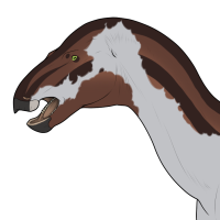 Thumbnail for 6987: Anaconda