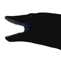 Thumbnail for 6988: Doulos