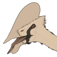 Thumbnail for 6991: Vultee