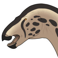 Thumbnail for 7007: Cheetah [He/They]