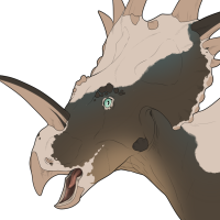 Thumbnail for 7027: NEWBIE