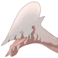 Thumbnail for 7032: St / Br / Hz / Ub / An