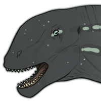 Thumbnail for 2181: Willow