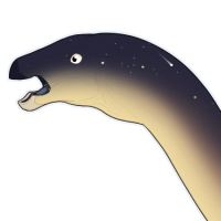 Thumbnail for 7050: Meteor