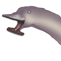 Thumbnail for 7068: Shimmer