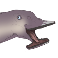 Thumbnail for 7068: Shimmer