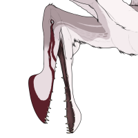 Thumbnail for 7079: Tropeognathus