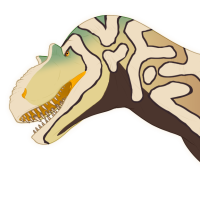 Thumbnail for 7080: Mango