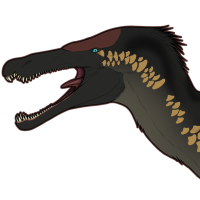 Thumbnail for 7092: Rin