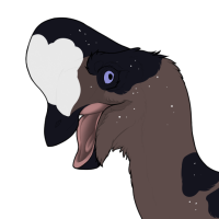 Thumbnail for 7097: Choco Chip Cookie