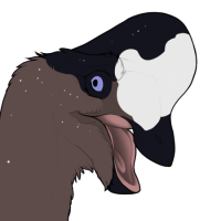 Thumbnail for 7097: Choco Chip Cookie